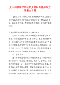 党支部领导下的校长负责制具体实施方案集合5篇