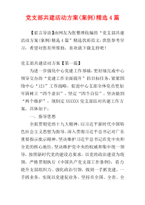 党支部共建活动方案(案例)精选4篇