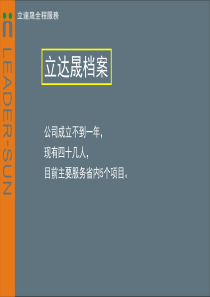 武汉万兴地产武汉虎泉项目全程推广提案