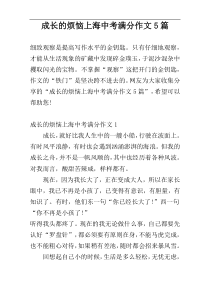 成长的烦恼上海中考满分作文5篇