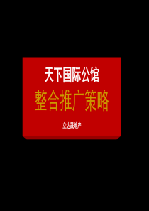 武汉天下国际公馆地产项目整合推广策略64页