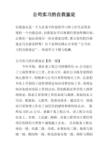 公司实习的自我鉴定