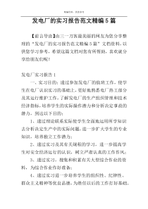 发电厂的实习报告范文精编5篇