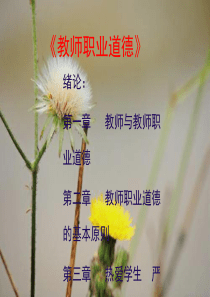 《教师职业道德》