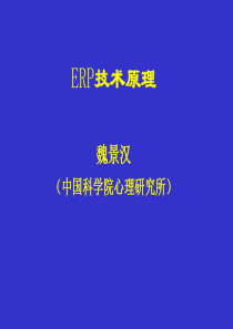 ERP技术原理