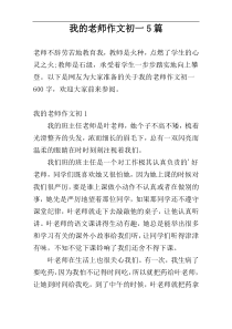 我的老师作文初一5篇