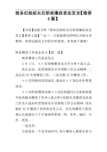 税务纪检组长任职前廉政表态发言【推荐4篇】