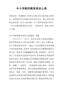 中小学教师教育培训心得