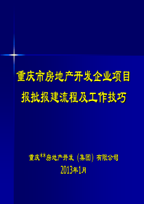 重庆市房地产开发报规报建流程及工作技巧