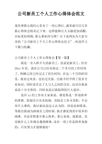 公司新员工个人工作心得体会范文