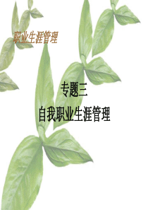 专题三自我职业生涯规划(修改)