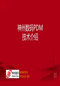 神州数码DCPDM技术介绍