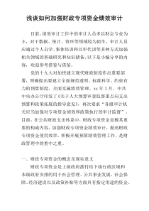 浅谈如何加强财政专项资金绩效审计