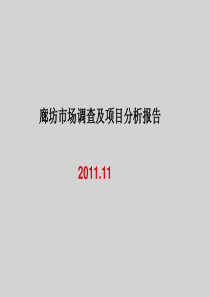 河北廊坊项目地块及商业房地产市场汇报