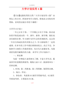 大学计划实用4篇