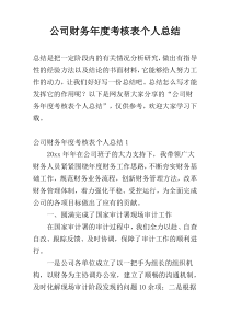 公司财务年度考核表个人总结