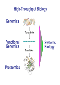 中科院bio2000课程 分子生物学-zhu-part1