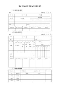 某集团行政经费控制执行工具与表件