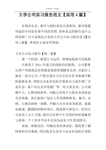 大学公司实习报告范文【实用4篇】