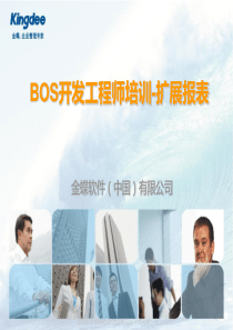 BOS开发工程师培训_报表