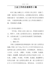 工会工作的自查报告2篇