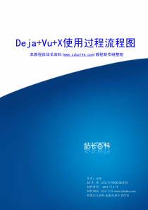 Deja+Vu+X使用过程流程图