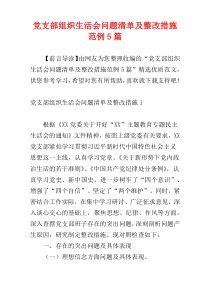 党支部组织生活会问题清单及整改措施范例5篇