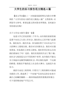 大学生的实习报告范文精选4篇