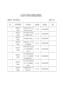 行政许可事项办理情况明细表