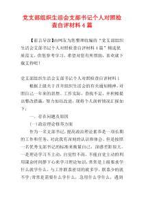 党支部组织生活会支部书记个人对照检查自评材料4篇