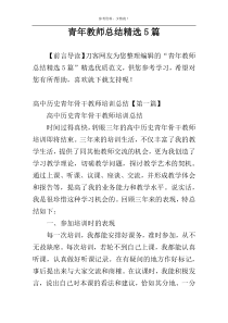 青年教师总结精选5篇