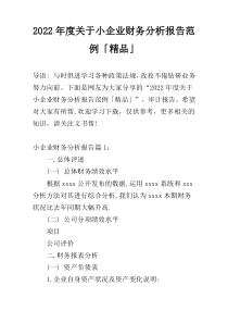 2022年度关于小企业财务分析报告范例「精品」