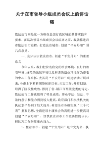 关于在市领导小组成员会议上的讲话稿