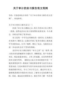 关于审计的实习报告范文范例