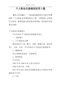 个人职业生涯规划实用3篇