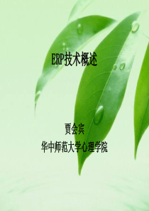 ERP技术概述