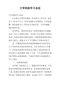 大学班级学习总结