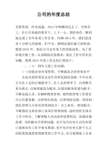 公司的年度总结