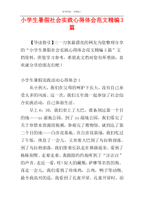 小学生暑假社会实践心得体会范文精编3篇