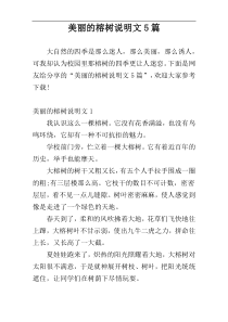 美丽的榕树说明文5篇