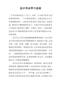 会计毕业学习总结