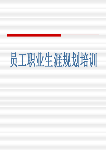 员工职业生涯规划培训通用课件——郑璞珂