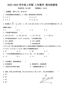 20222023学年沈阳市铁西区雨田实验中学八年级上学期期末数学试卷