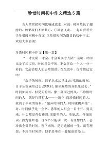 珍惜时间初中作文精选5篇