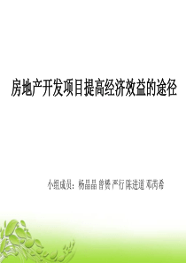 第8组房地产项目开发提高经济效益的途径