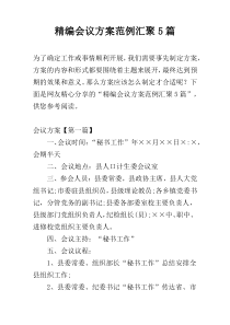 精编会议方案范例汇聚5篇