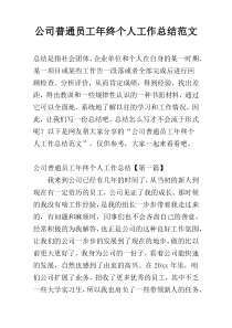 公司普通员工年终个人工作总结范文