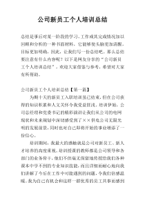 公司新员工个人培训总结