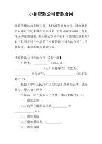 小额贷款公司借款合同