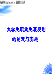 大学生职业生涯规划-制定与实施